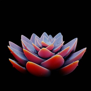 Glowing artificial lotus (purple, orange, blue) - dark background